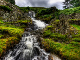 Nature 27 Photographic Print by Brian Stevenson