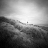 Seacolony Photographic Print by Craig Roberts