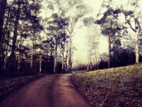 Hilltop Photographic Print by Tracy Edgar