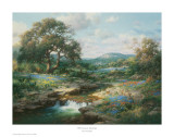 Hill Country Morning Posters by Larry Dyke