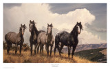 Amazing Grays IV Poster by Nancy Glazier