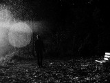 Magic in the Woods Photographic Print by Sharon Wish