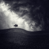 Alone Again Photographie par Luis Beltran