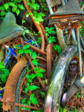 Amberline Lámina fotográfica por Jim Crotty Amberline Lámina fotográfica por Jim Crotty