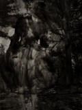 Unmistakable Photographic Print by Traer Scott