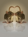 Blogpoint Fotografie-Druck von Lynne Davies