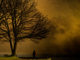 Jando Photographie par Sharon Wish