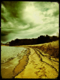 Addison Photographic Print by Cristina Carra Caso