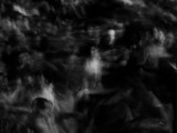 Sola Lámina fotográfica por Traer Scott