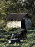 Brainjam Photographic Print by Tim Kahane