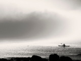 Izz Photographic Print by Sharon Wish