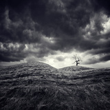 So Lonely Photographie par Luis Beltran