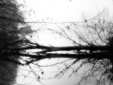 Toppoint Photographie par Sharon Wish
