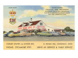 Silver Springs Drive-In, Roadside Retro reproduction procédé giclée