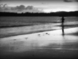 Half Light Photographic Print by Sharon Wish