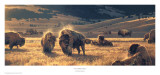Nancy Glazier - The Hidden Valley - Poster