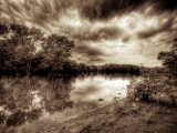 Calming Photographie par Stephen Arens