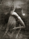 Twitterzoom Photographic Print by Lynne Davies