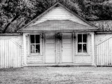 Wainy Photographic Print by Traer Scott