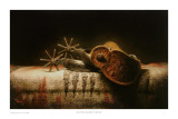 Spurs With Navajo Blanket Prints by Kyle Polzin