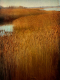 Babblepoint Photographic Print by Tim Kahane