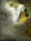 Quipe Photographic Print by Lynne Davies