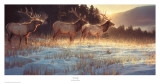 Elk Ridge Kunst von Nancy Glazier