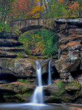 Rhynoodle Photographic Print by Jim Crotty