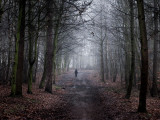 Colony Photographic Print by Craig Roberts