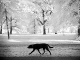 Shore Squad Photographie par Craig Satterlee