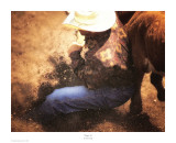 Diggin' In Print by Karen Kelly