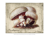 Fresco Mushroom Posters by Kate Ward Thacker