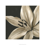 Classical Blooms III Limited Edition by Ethan Harper
