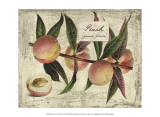 Fresco Fruit IX Poster by Kate Ward Thacker