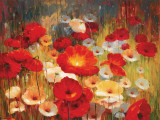 Meadow Poppies I Posters par Lucas Santini