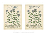2-Up Seed Packets I Pósters por Kate Ward Thacker 2-Up Seed Packets I Pósters por Kate Ward Thacker