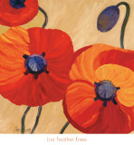 Oriental Poppy Left Art by Lisa Feather Knee