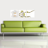 Orchid Reflection Wall Decal