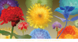 Sunflower Fireworks Posters af Robert Mertens Sunflower Fireworks Posters af Robert Mertens