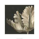 Classical Blooms II Limitierte Auflage von Ethan Harper