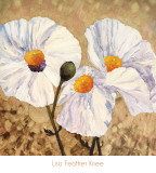 Paper Whites Prints by Lisa Feather Knee