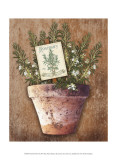 Potted Herbs II Prints by Kate Ward Thacker
