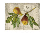 Fresco Fruit VI Art by Kate Ward Thacker
