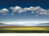 Catch the Wind Reprodukcje autor William Vanscoy Catch the Wind Reprodukcje autor William Vanscoy