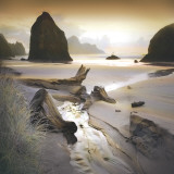 She Sleeps In The Sand Art par William Vanscoy