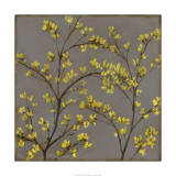 Forsythia II Limitierte Auflage von Jennifer Goldberger