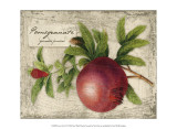 Fresco Fruit V Posters by Kate Ward Thacker