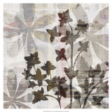 Wallflower III Prints by James Burghardt