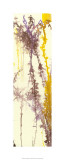 Liquid Light II Limitierte Auflage von Jennifer Goldberger