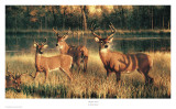 Shadow Time Prints by Nancy Glazier